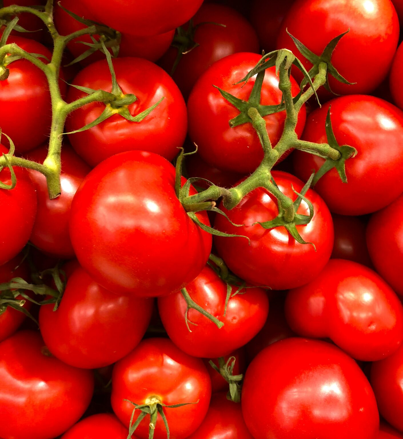 Tomaten Pilz Salat | Gesund und Fantastisch | LITTLEFORK