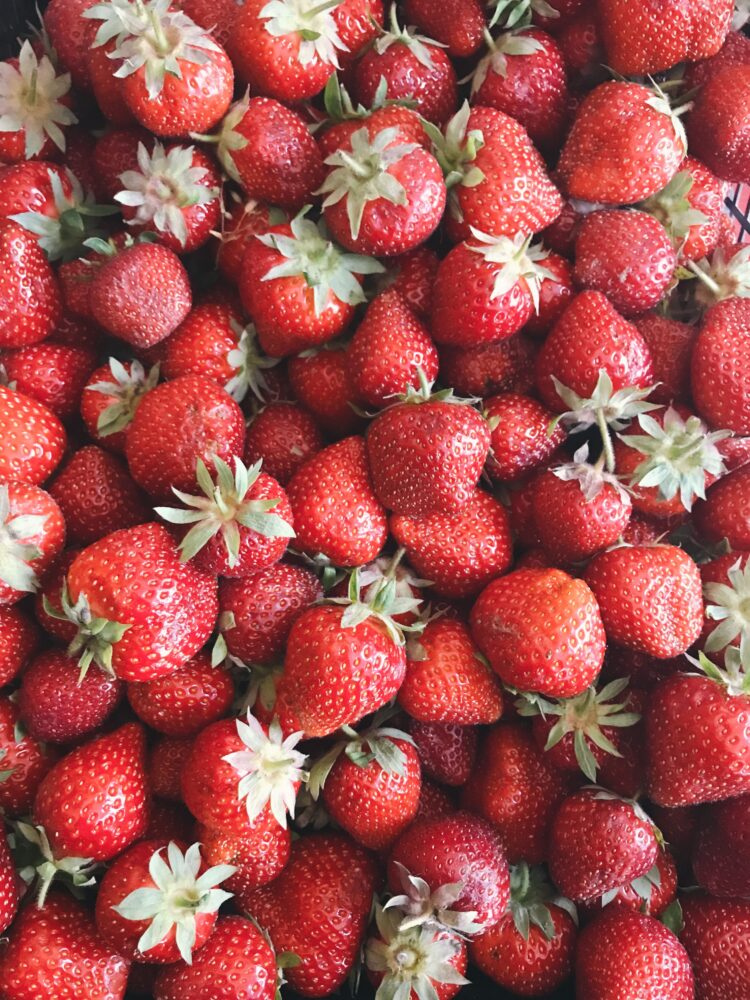 Vanillequark mit Erdbeeren | Süß und Lecker | LITTLEFORK